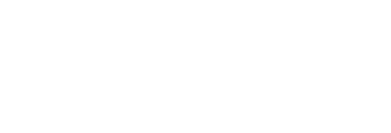 logo sudety.pro [całe białe]
